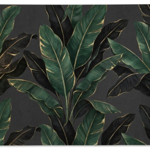 The Gilbed Banana Palm (Dark Background)